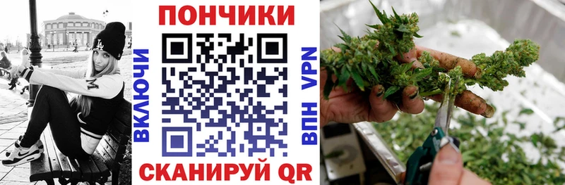 Шишки марихуана ГИДРОПОН  Малая Вишера 